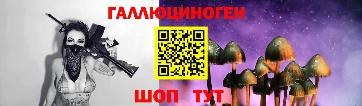 Галлюциногенные грибы MAGIC MUSHROOMS  Вход с VPN  Прохладный  Псилоцибиновые грибы Magic Shrooms 